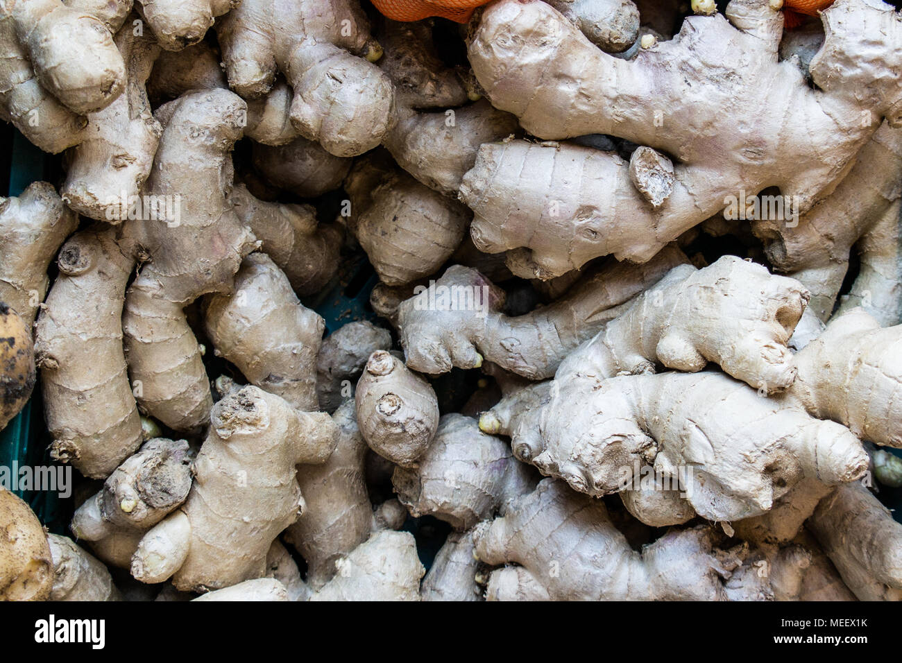 Ginger roots at the supermarket Stock Photo - Alamy