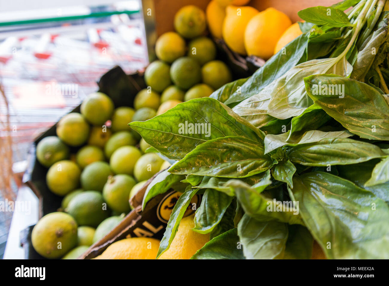 Green mandarin and basil leaves at the supermarket Stock Photo Alamy