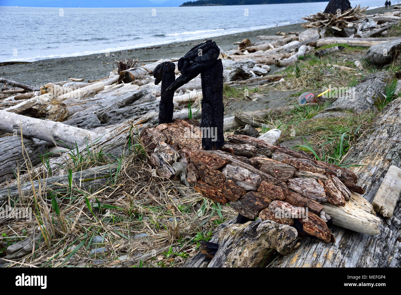 Local artists come to Esquimalt lagoon and use driftwood, sea shells and debris coming in with the tide to make fantastic pieces of public art. Stock Photo
