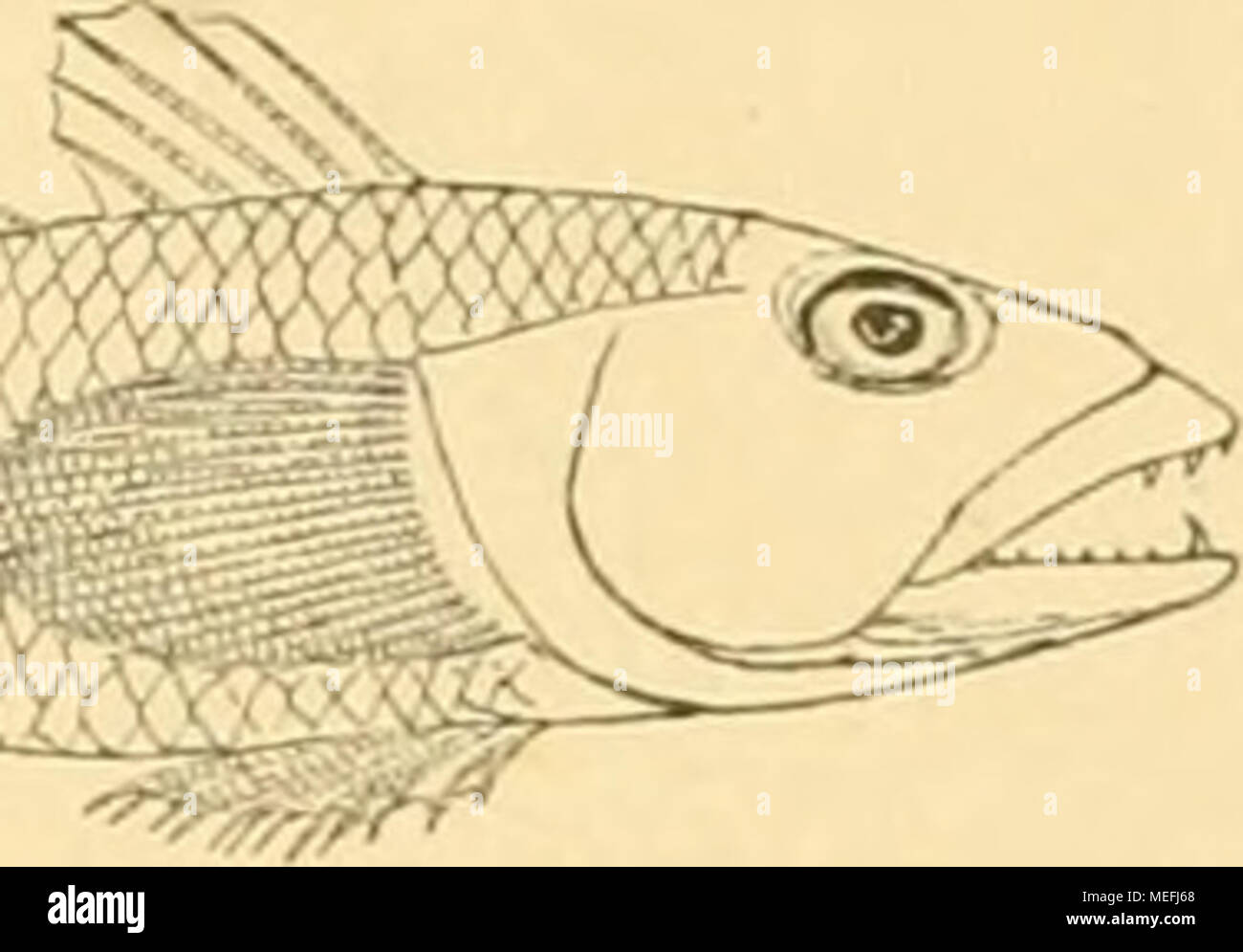 N 47 9 42 High Resolution Stock Photography and Images Alamy