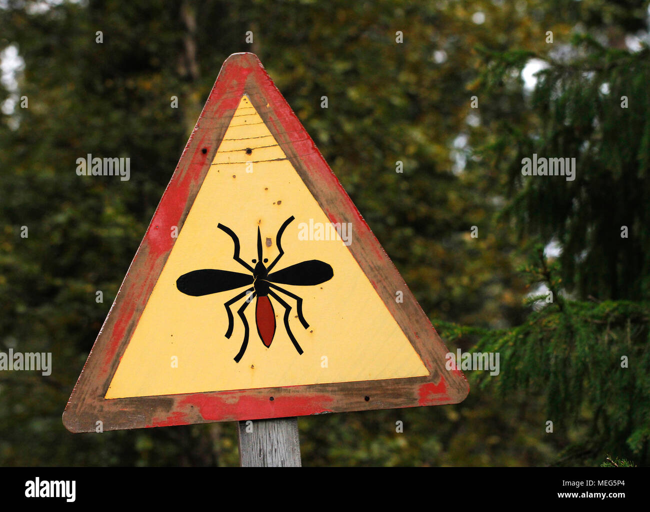 Road sign warning about blood sucking mosquitos in Finnish Lapland. Stock Photo