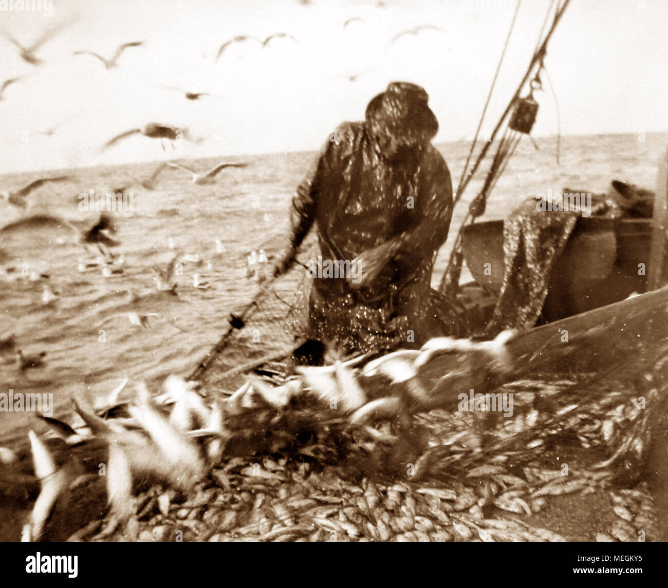 Herring fishing, Great Yarmouth, early 1900s Stock Photo Alamy