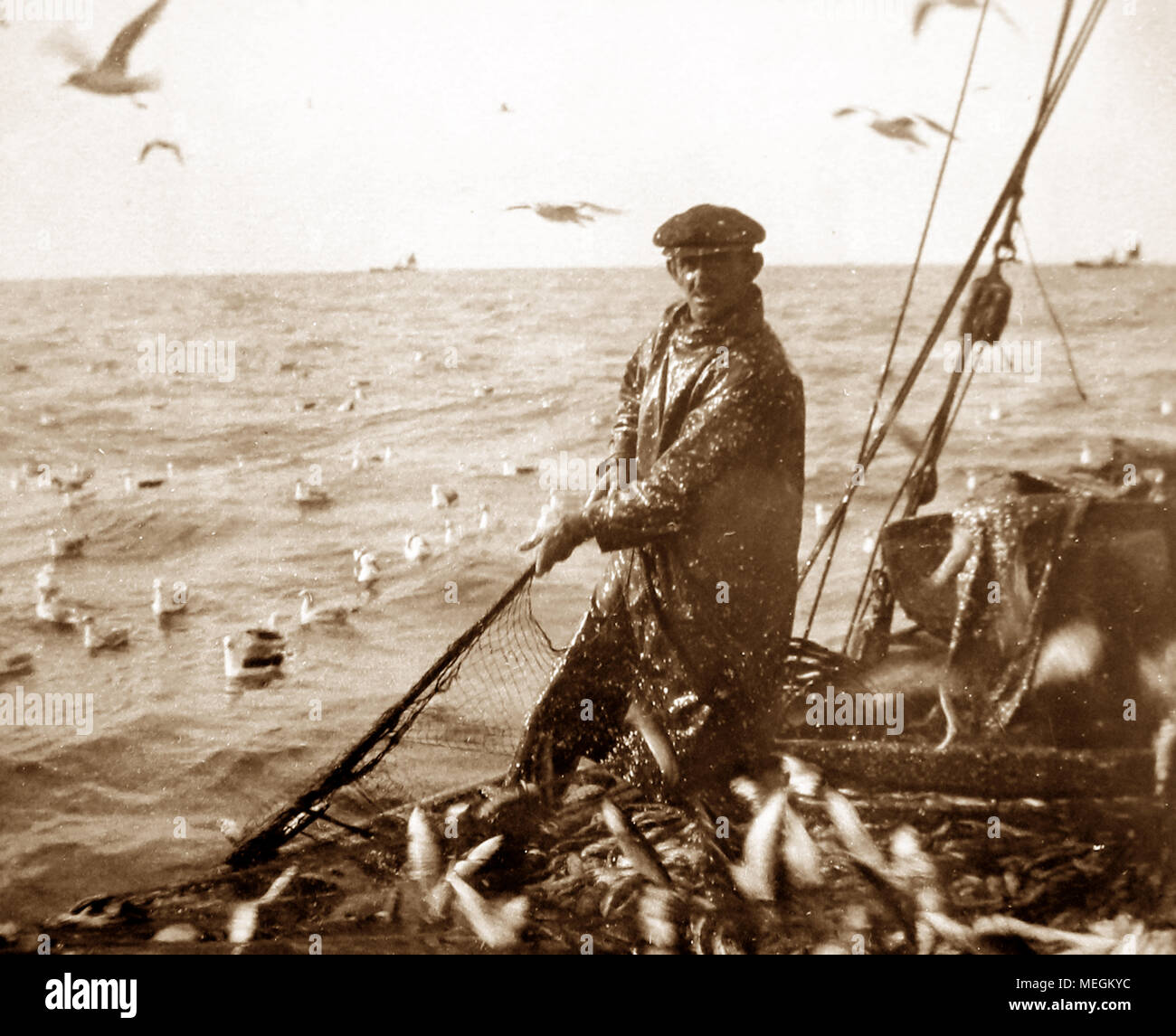 Herring fishing, Great Yarmouth, early 1900s Stock Photo Alamy
