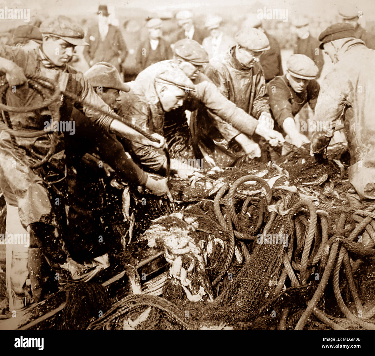 Herring fishing, Great Yarmouth, early 1900s Stock Photo Alamy