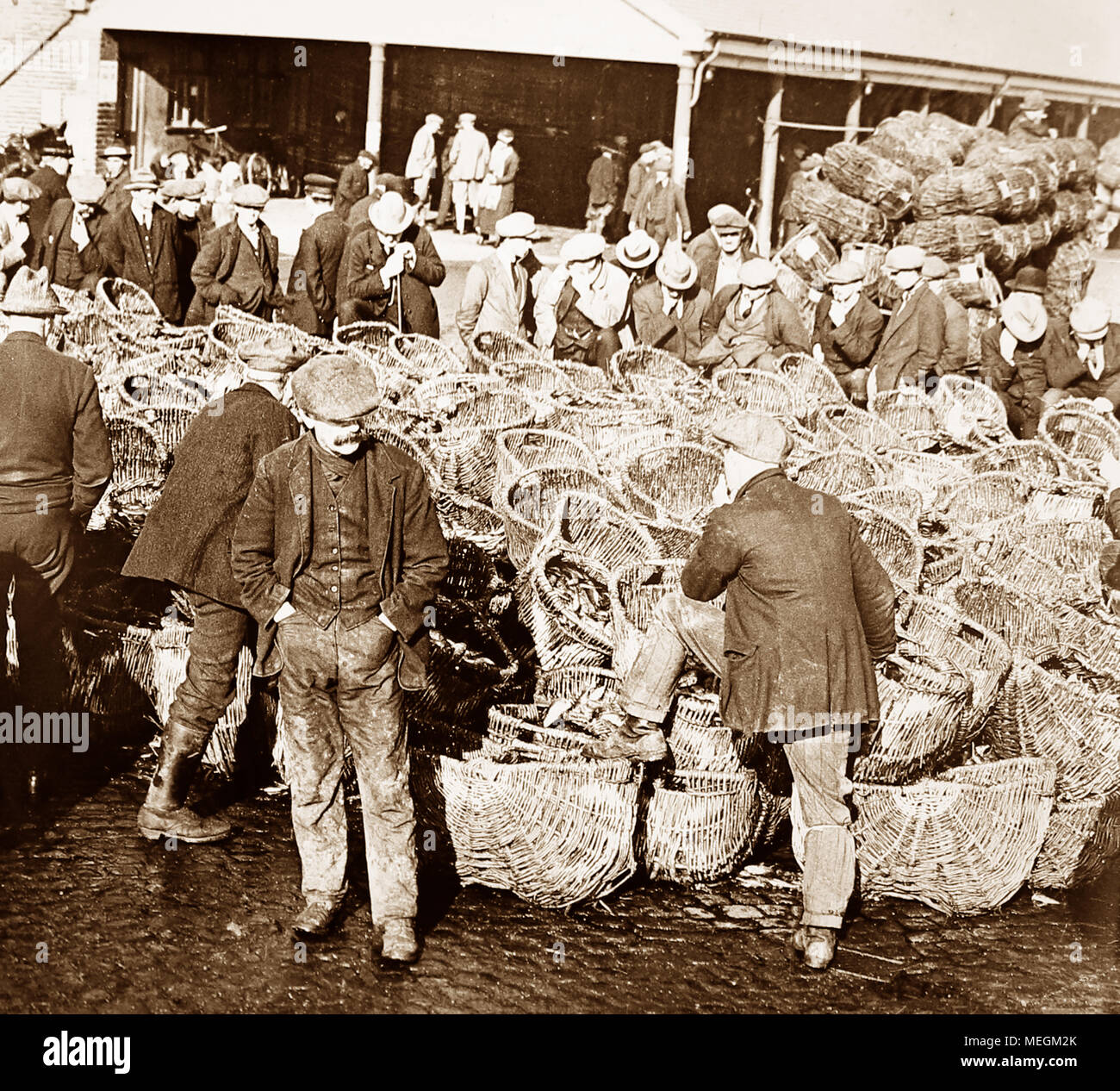 Herring fishing fishermen hires stock photography and images Alamy