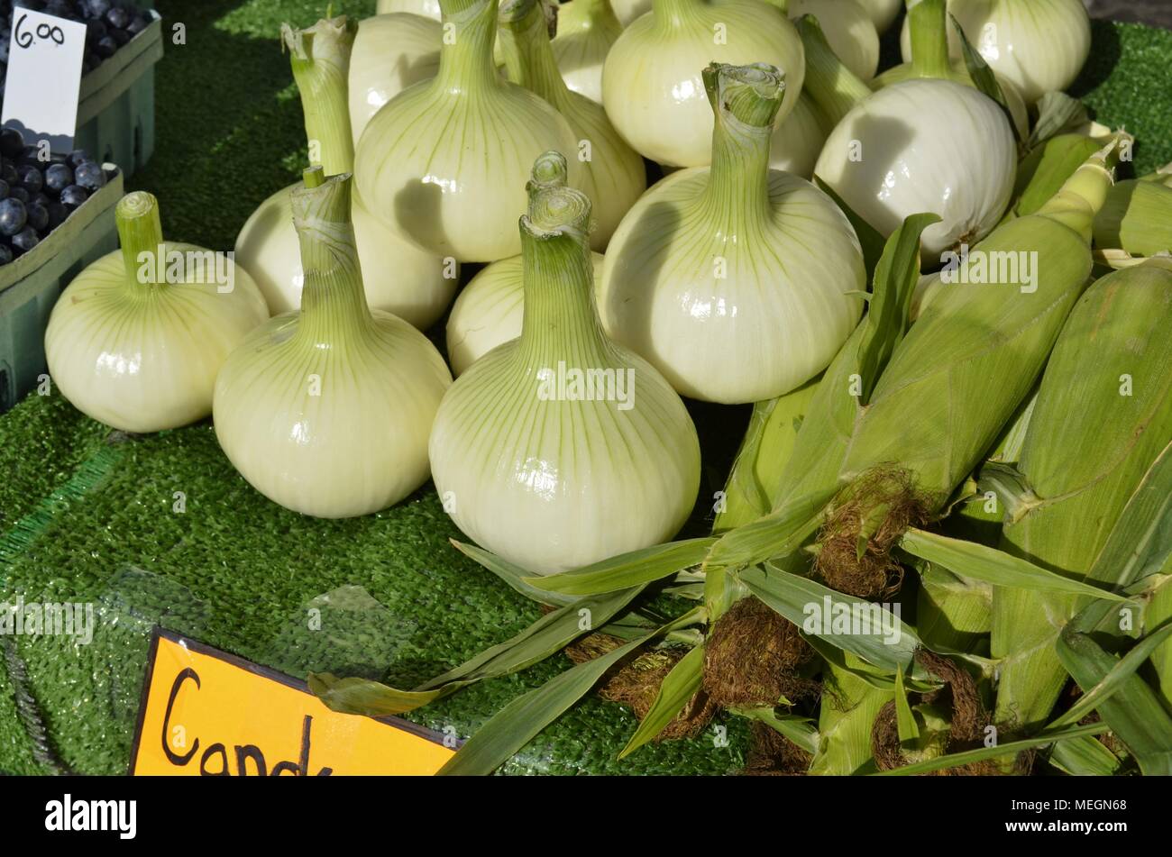 Candy onions hires stock photography and images Alamy
