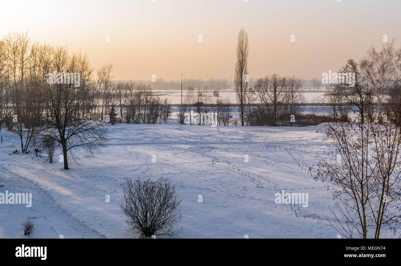 Peaceful natural winter scenery with footprints on the snow and trees without leaves in Zabrze, Silesian Upland, Poland. Stock Photo
