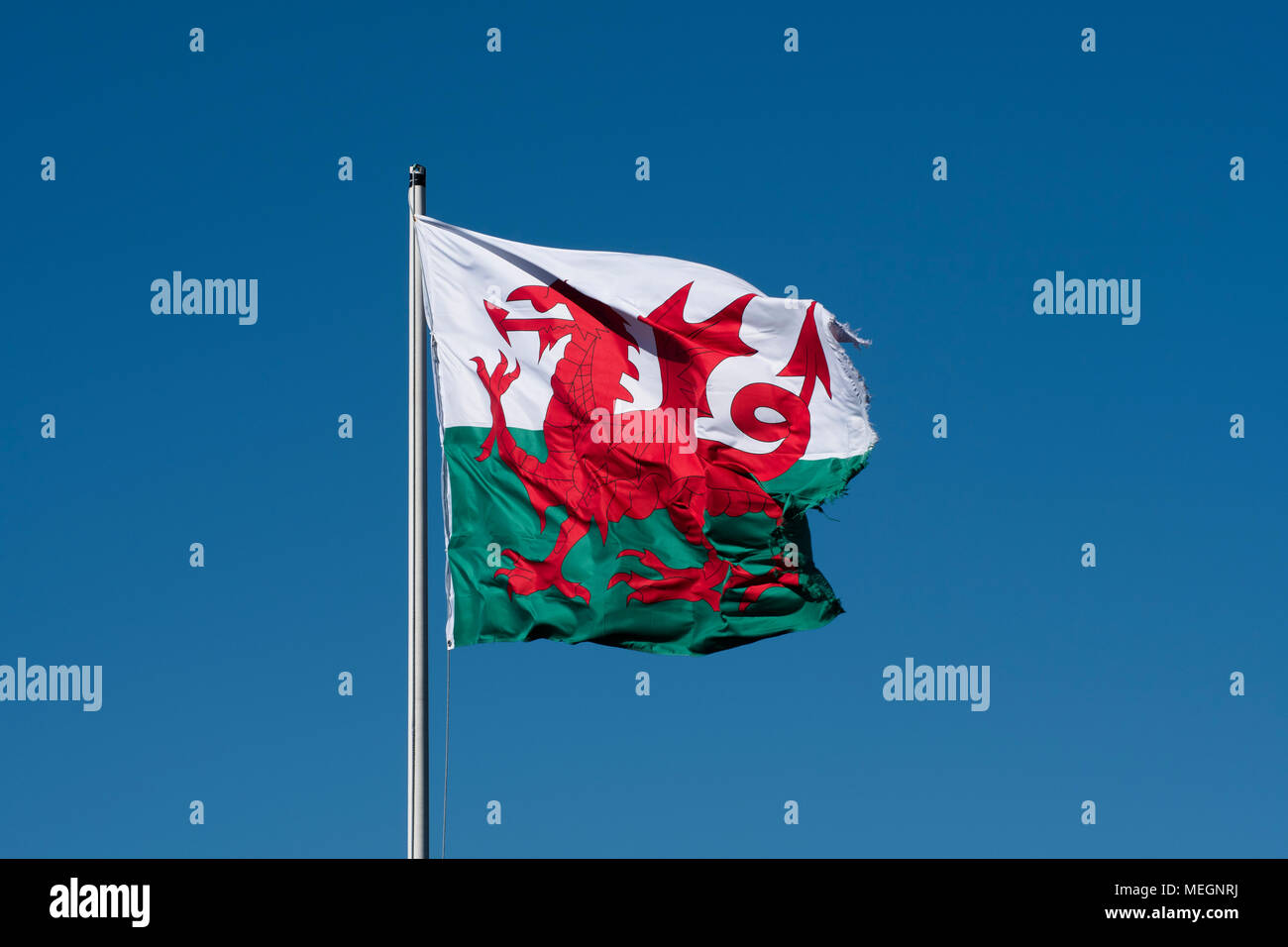 Y Ddraig Goch - The Red Dragon, the National Flag of Wales, a country in the United Kingdom flutterin in the breeze on a sunny day.. Stock Photo