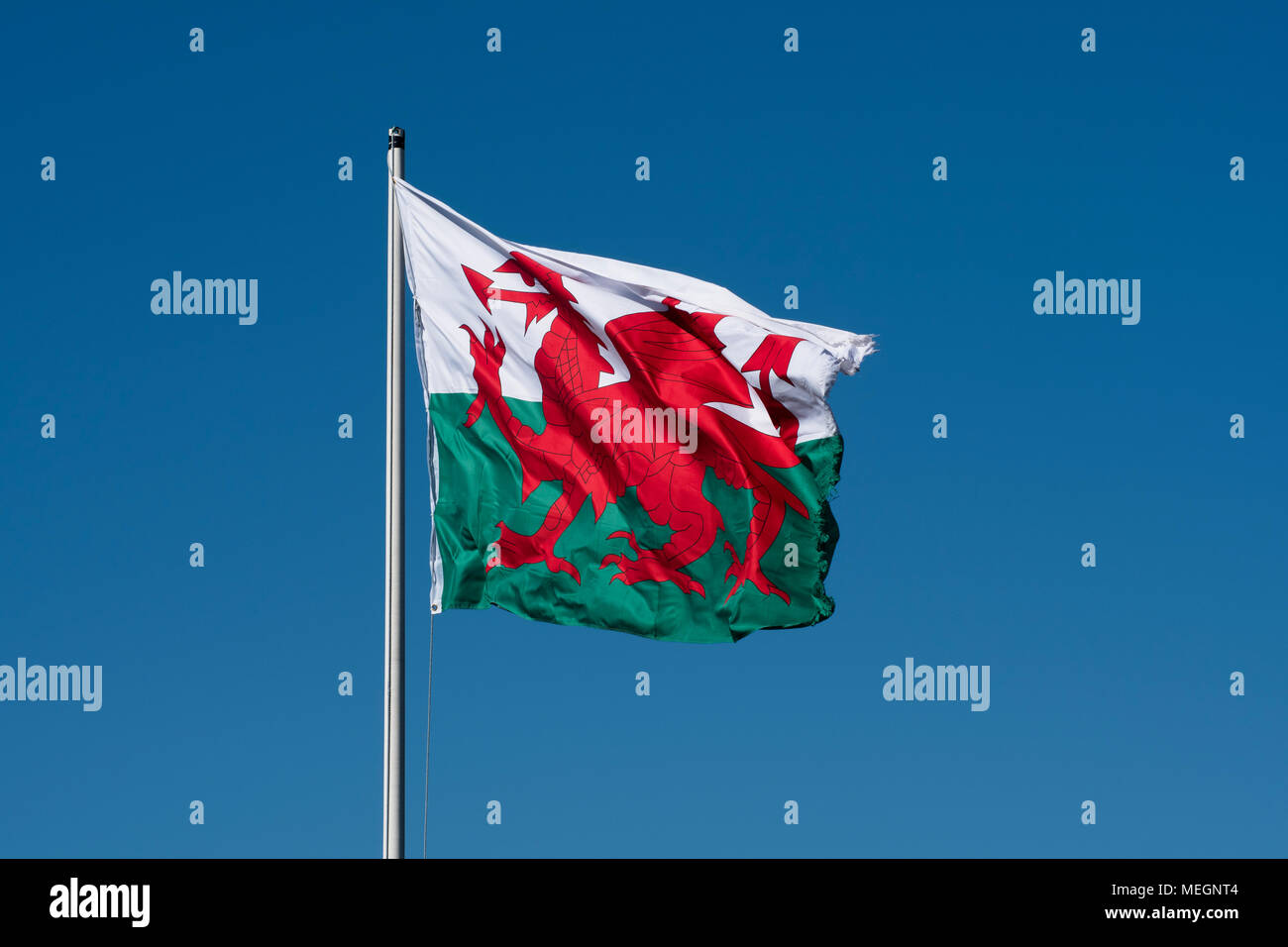 Y Ddraig Goch - The Red Dragon, the National Flag of Wales, a country in the United Kingdom flutterin in the breeze on a sunny day.. Stock Photo