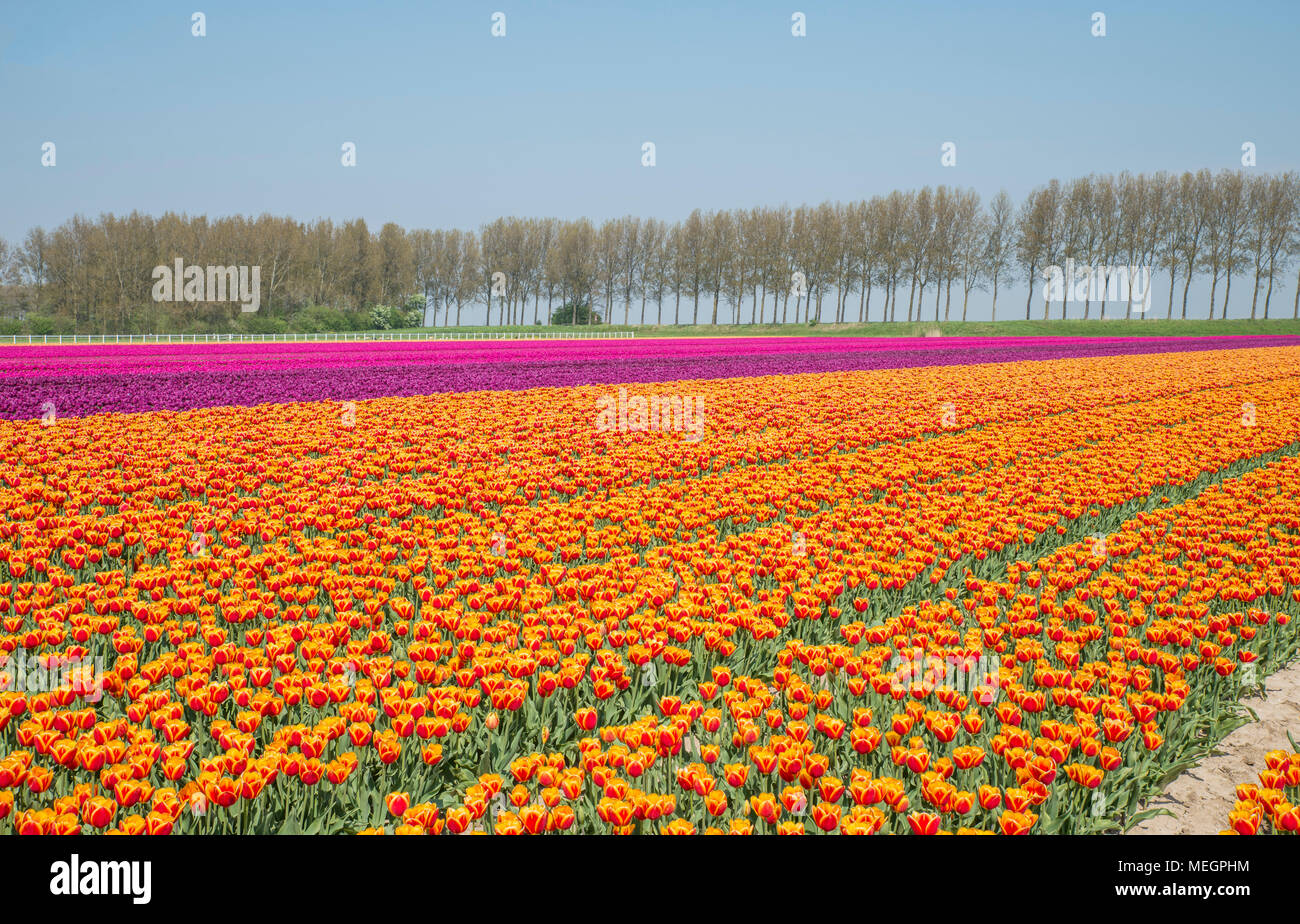 New holland agriculture hi-res stock photography and images - Alamy