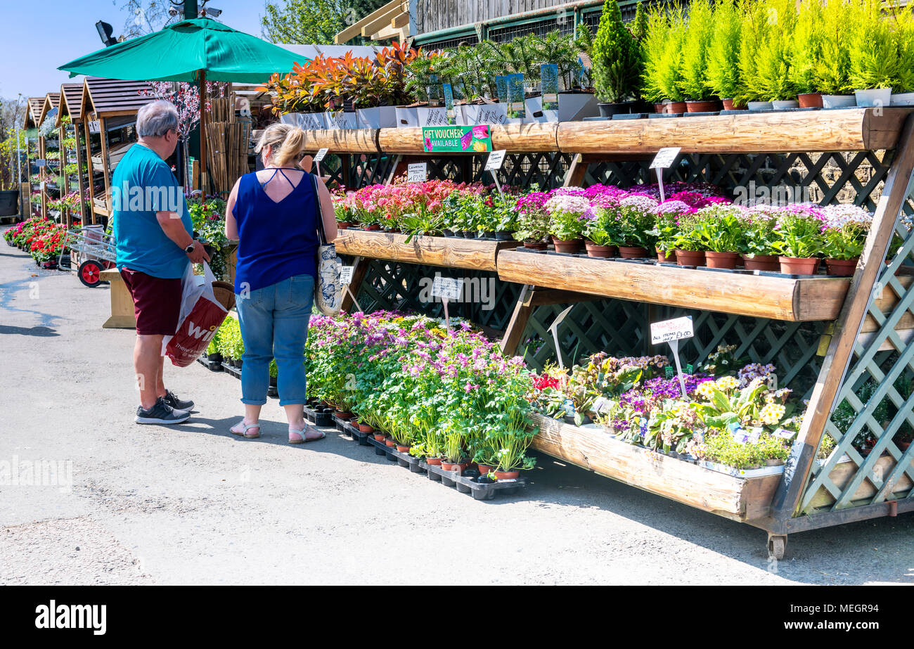 Garden centre flowers display hi-res stock photography and images - Alamy