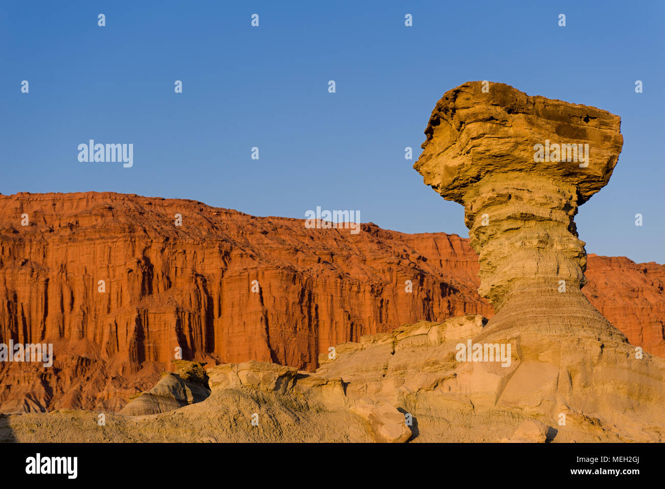 The Mushroom, sandstone formation in Ischigualasto, San Juan, Argentina
