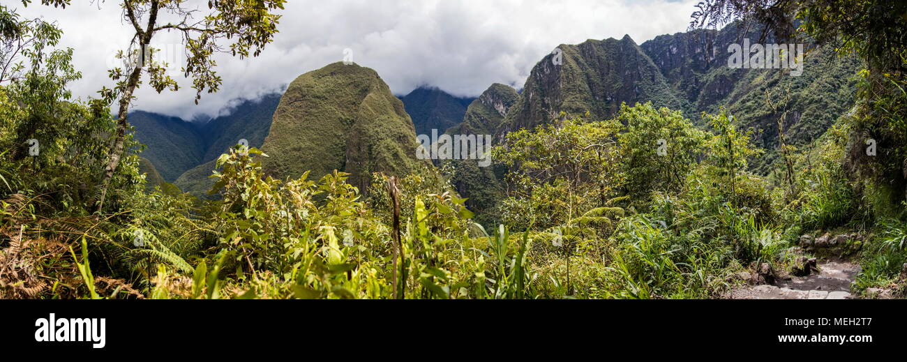 Detail of the Machu Picchu Inca citadel in Peru Stock Photo - Alamy