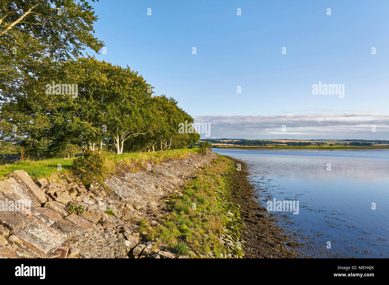 Part of the old harbour at the Montrose Basin Nature Reserve in an area called The Lurgies at the west end of the Basin near Montrose, Angus in Scotla Stock Photo