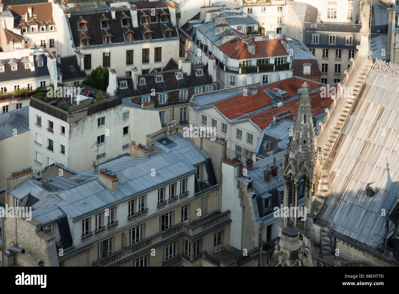 View from Notre Dame, Paris Stock Photo