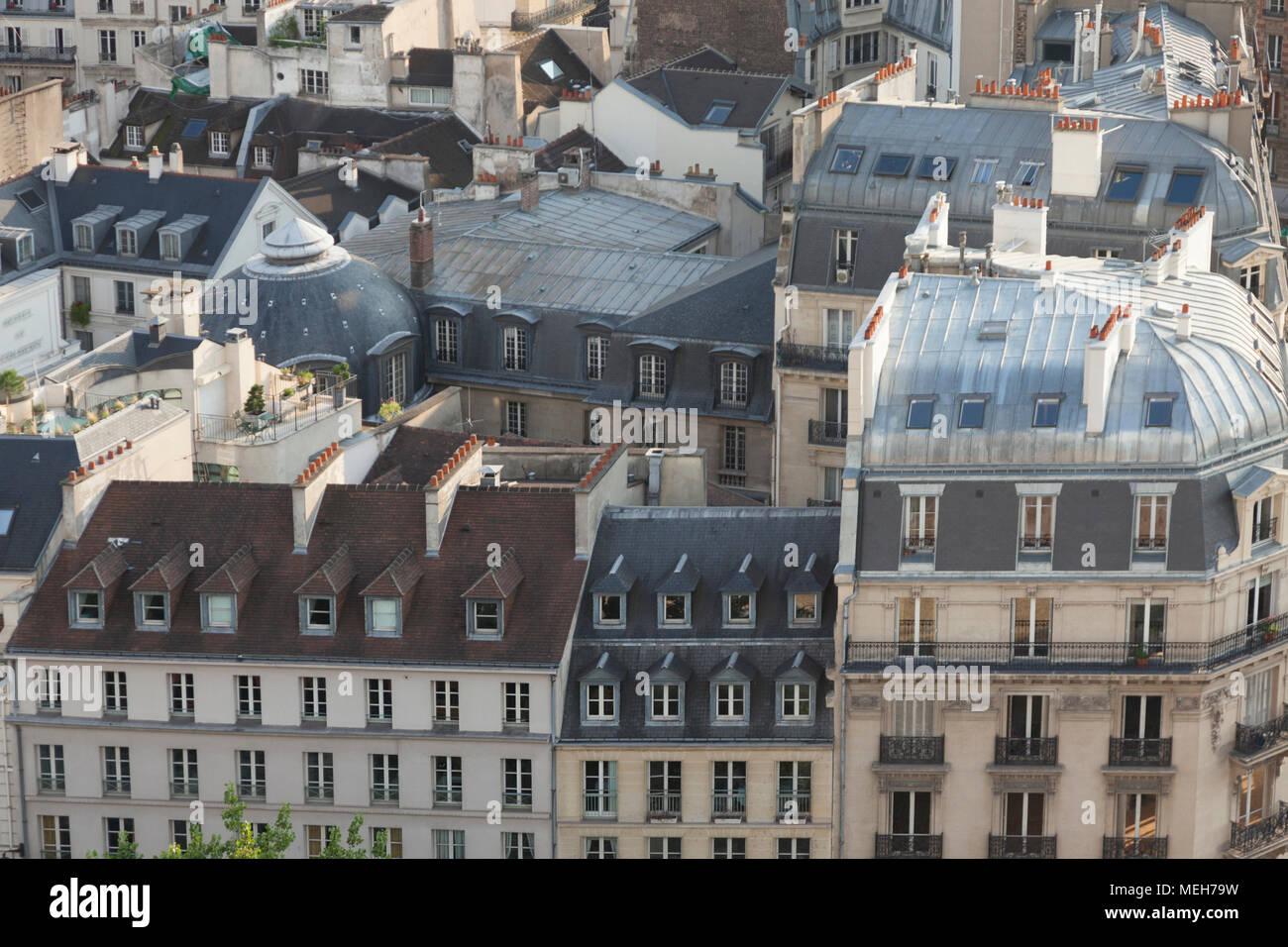 The roofView from Notre Dame, Paris Stock Photo