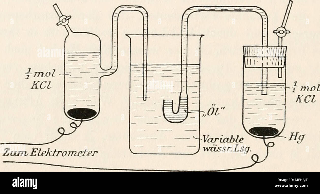 . Die Entstehung elektrischer Ströme in lebenden Geweben und ihre künstliche Nachahmung durch synthetische organische Substanzen; experimentelle Untersuchungen . Messung des elektromotorischen Effekts eines „Öls&quot; gegen verschiedene wässerige Lösungen. („Öl&quot; bezeichnet irgend eine wasserunmischbare Flüssigkeit.) Die Differenz von zwei solchen Messungen ergibt die elektromotorische Kraft der Anordnung: Elektrode / Lösung I / „Öl&quot; / Lösung II / Elektrode. 1 2 3 4 Die elektromotorische Kraft einer solchen Kette ist in erster Linie an den Berührungsstellen des „Öls&quot; mit den Lösu Stock Photo