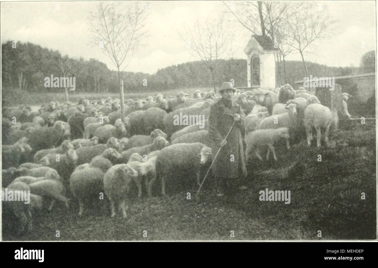 . Die deutsche Landwirtschaft unter Kaiser Wilhelm II; Mutterland und ...