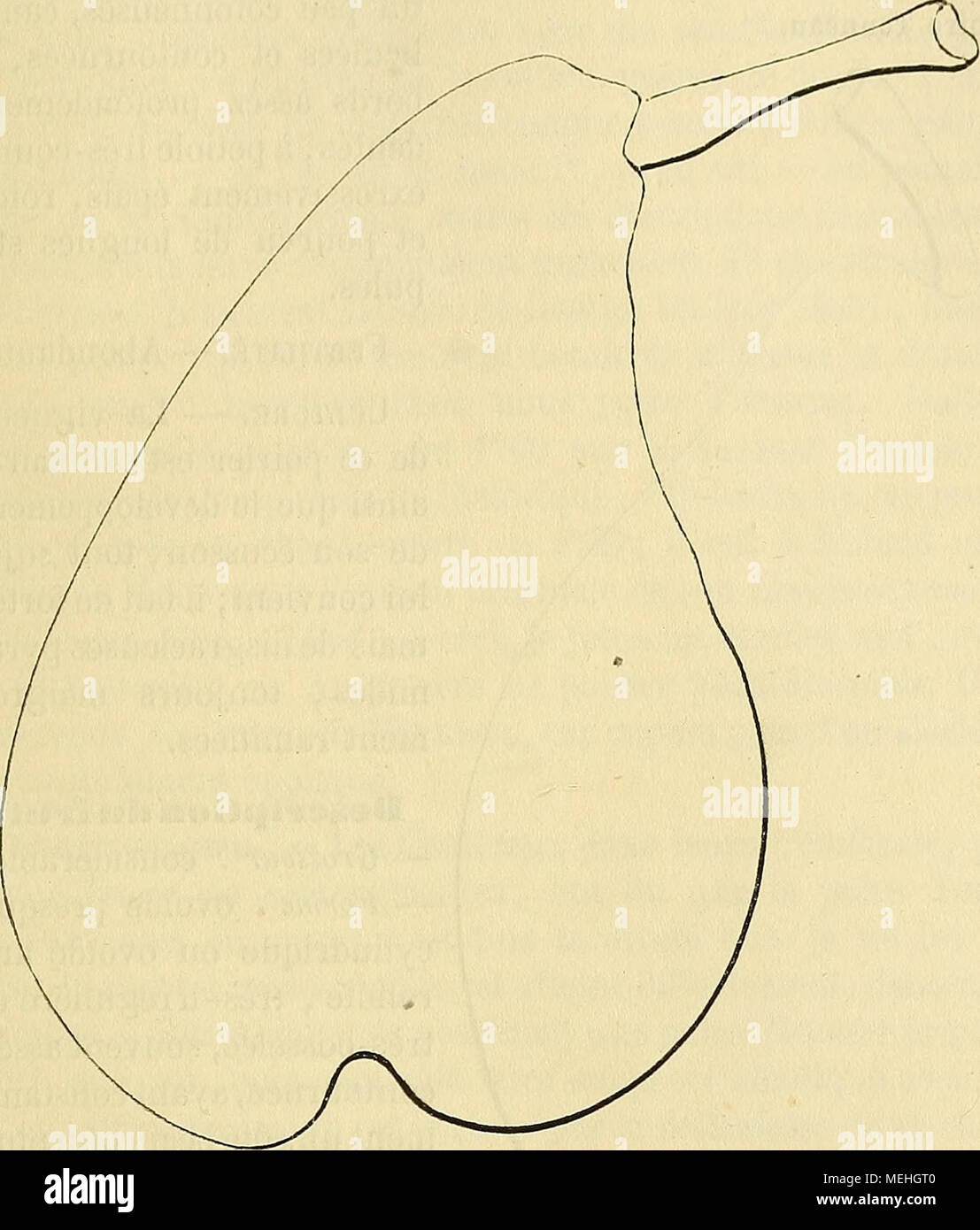 B 878 High Resolution Stock Photography And Images Alamy