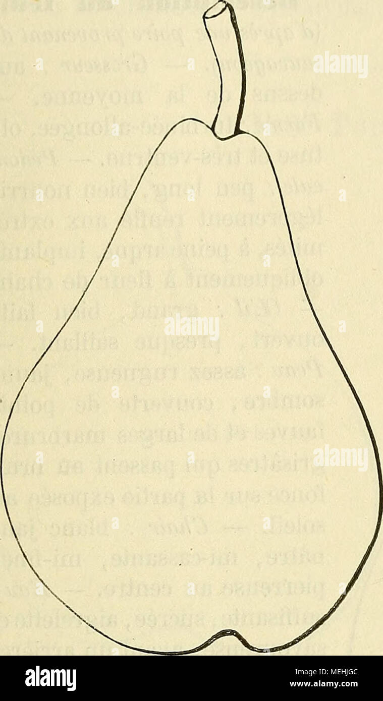 Quant Insgesamt 4411 Bilder Seite 8 Bei Imageselect