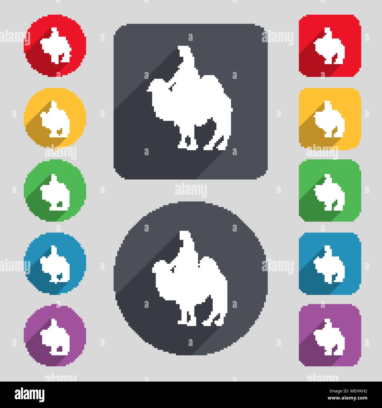 Camel icon sign. A set of 12 colored buttons and a long shadow. Flat ...
