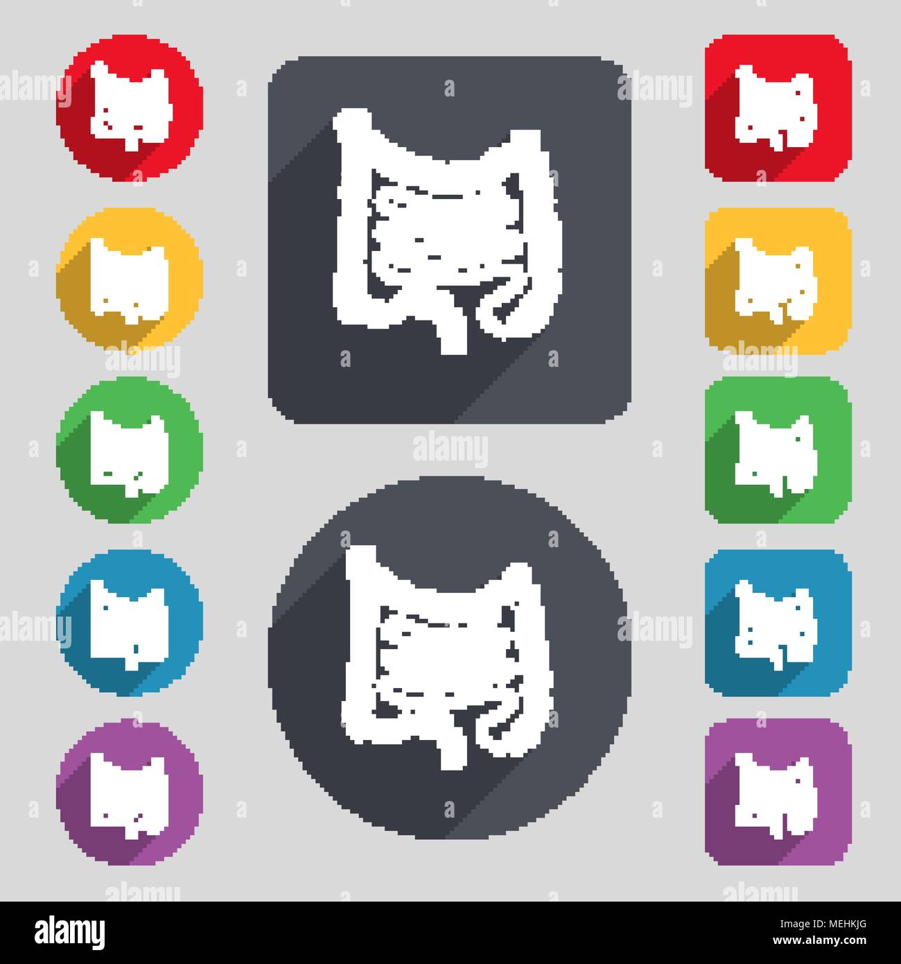 Intestines icon sign. A set of 12 colored buttons and a long shadow ...
