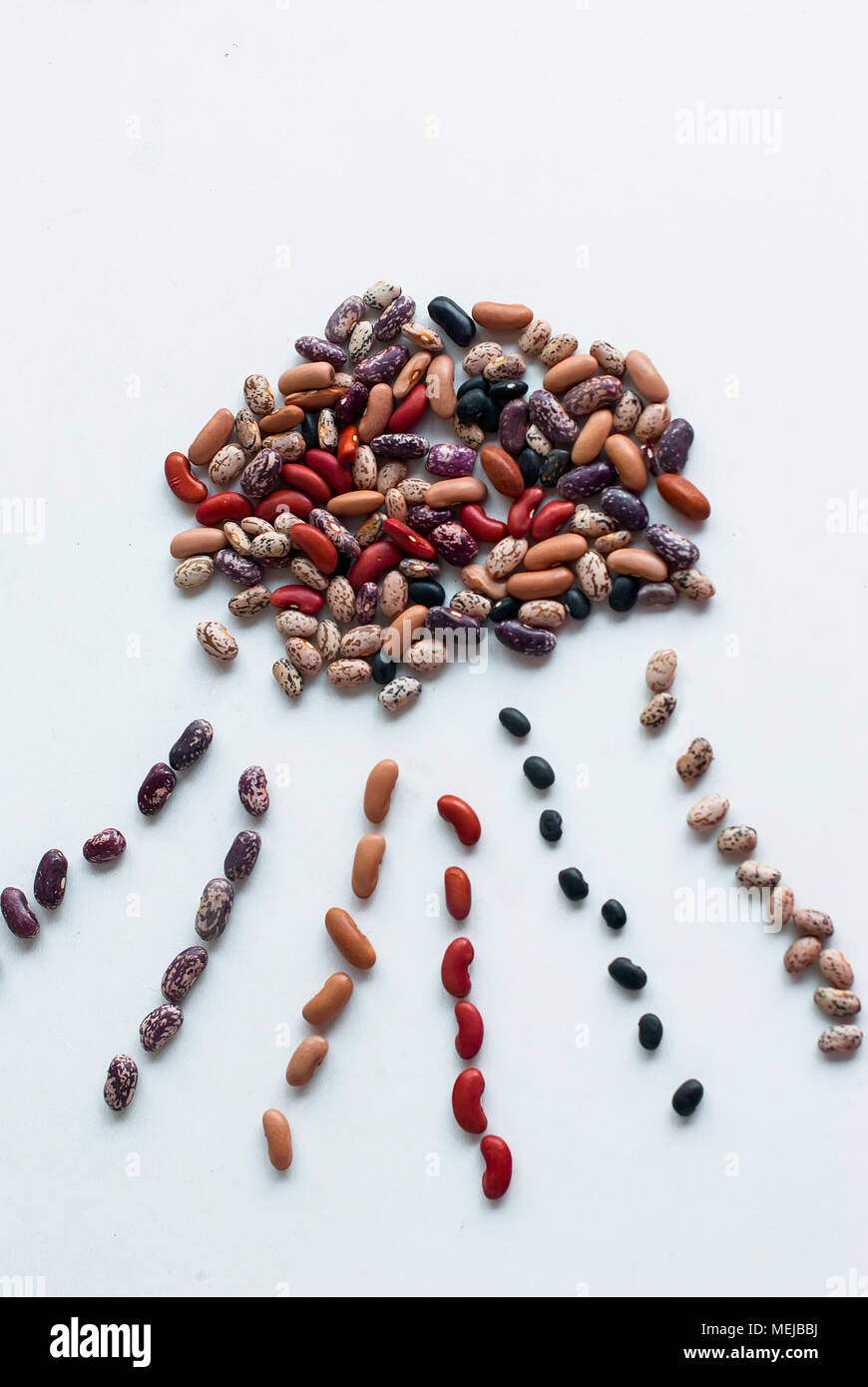six variety of dried beans kidney beans, blackeyed beans, overhead