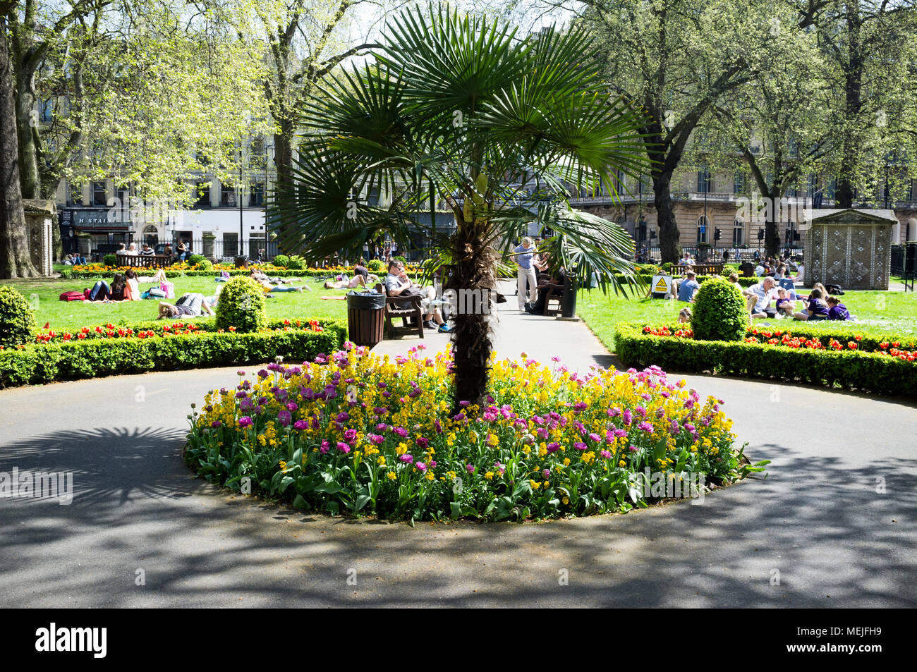 Tree and flower beds in Lower Grosvenor Gardens, near Victoria Station, London. Stock Photo