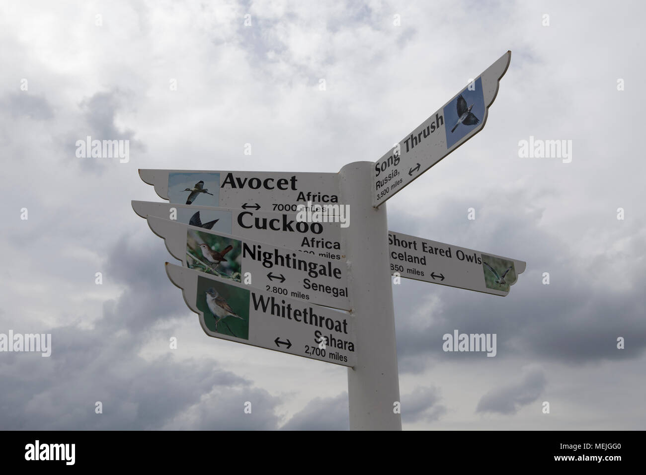 A sign showing the direction, origin and distances of migrating birds ...