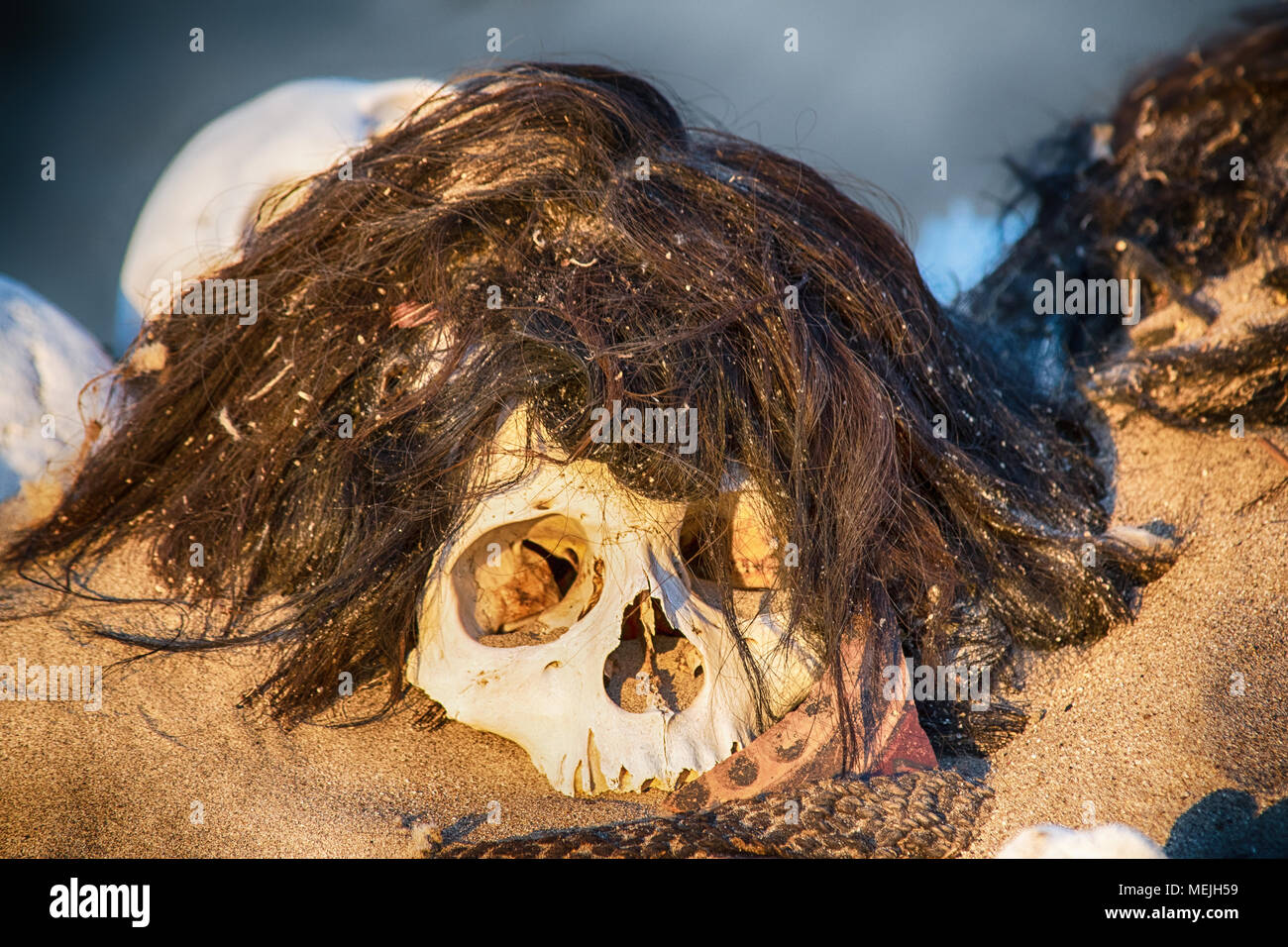 Skulls on an ancient Nazca cemetery near Cahuachi (Peru) Stock Photo