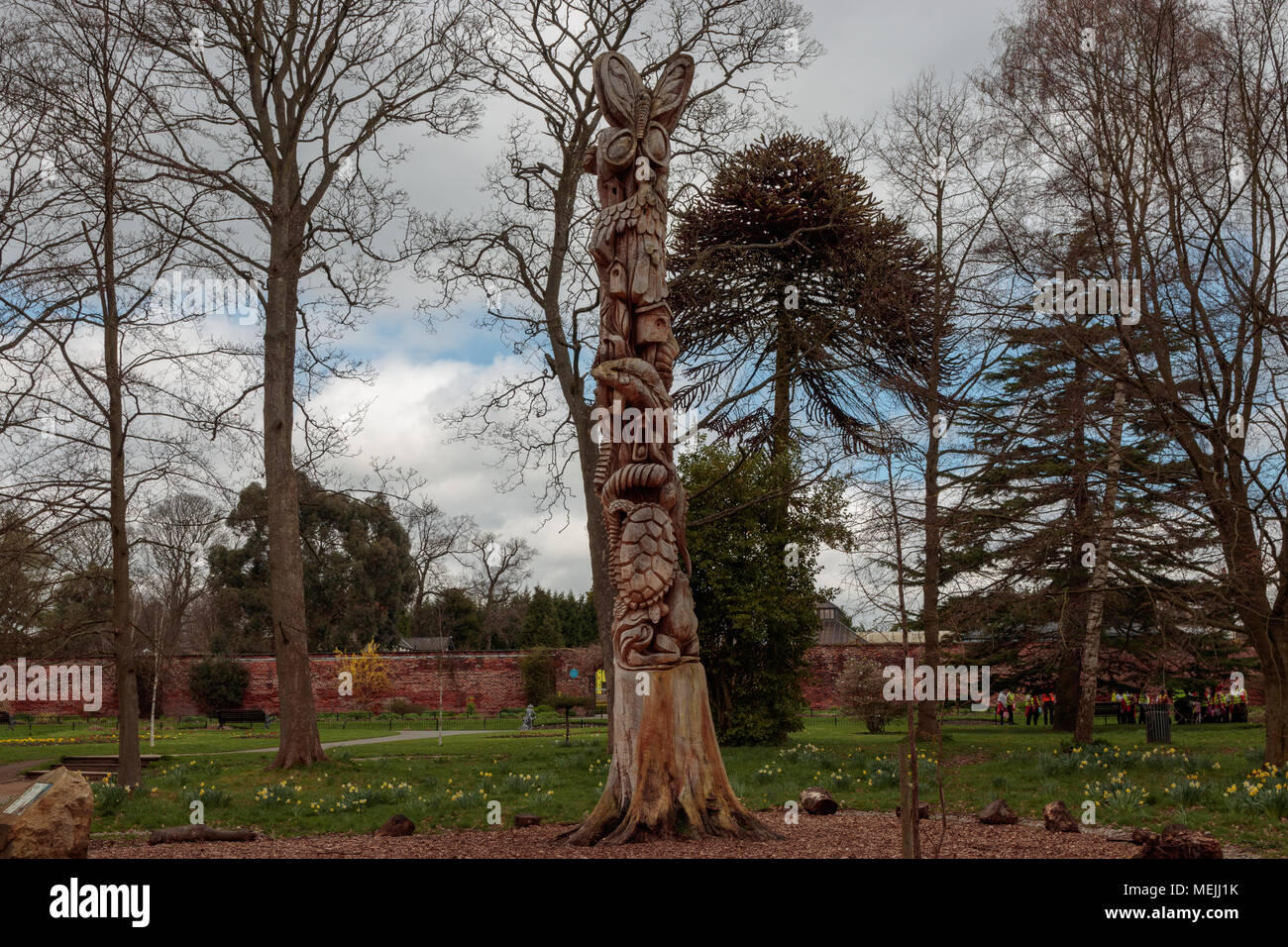 Mary's Tree, Canal Gardens, Roundhay Park Stock Photo