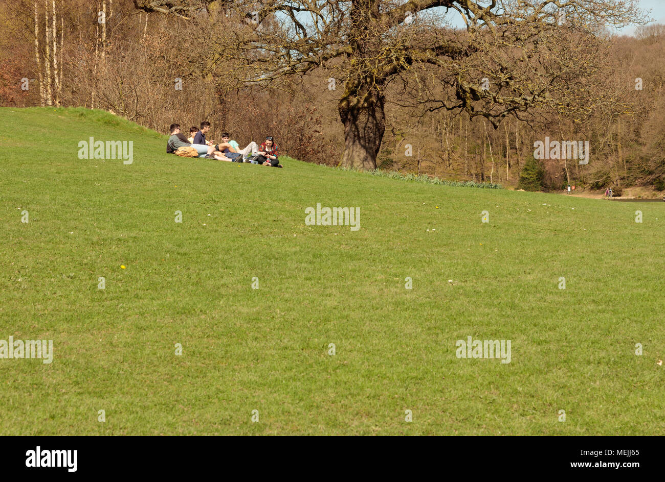 Group of friends enjoying the sun in Roundhay Park, Leeds Stock Photo