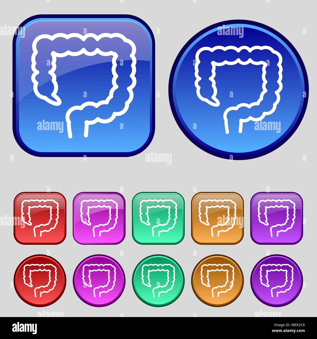 large intestine icon sign. A set of twelve vintage buttons for your ...