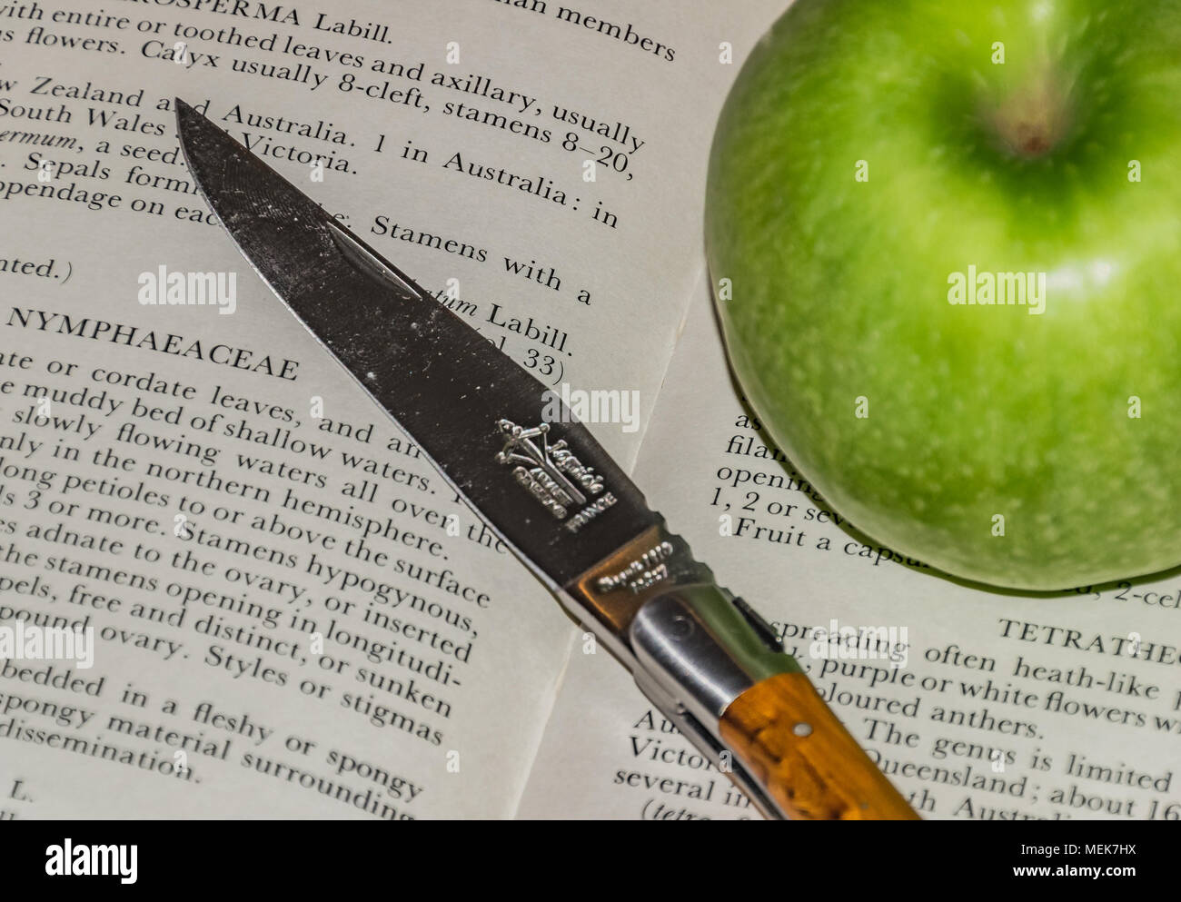 Composition with book, apple & knife Stock Photo