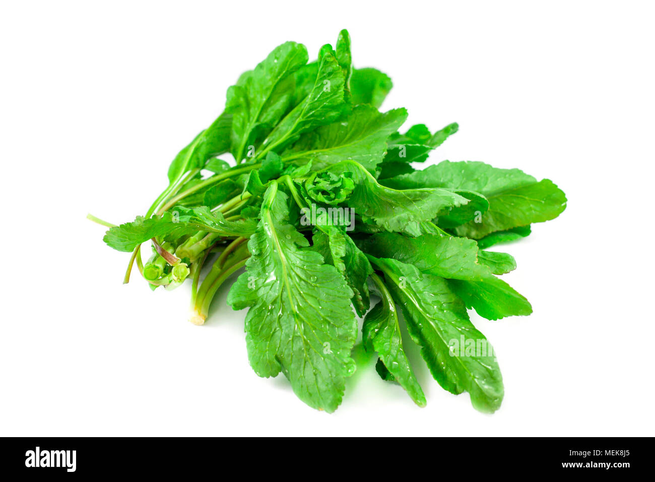 Bunch of spinach isolated on white background Stock Photo - Alamy