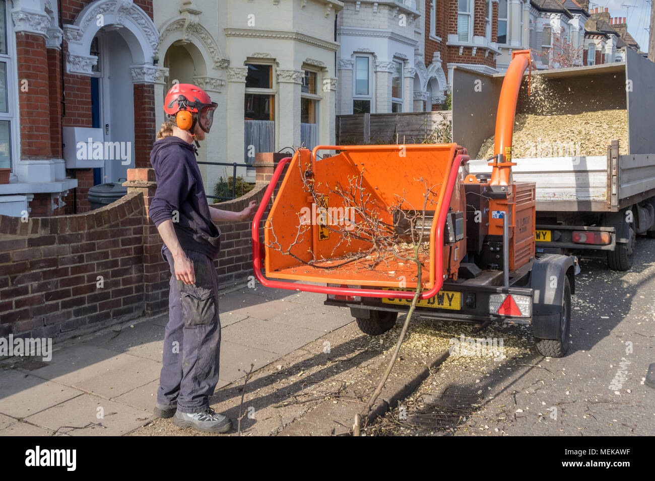 A workman using a wood chipper to shred tree branches into wood chip