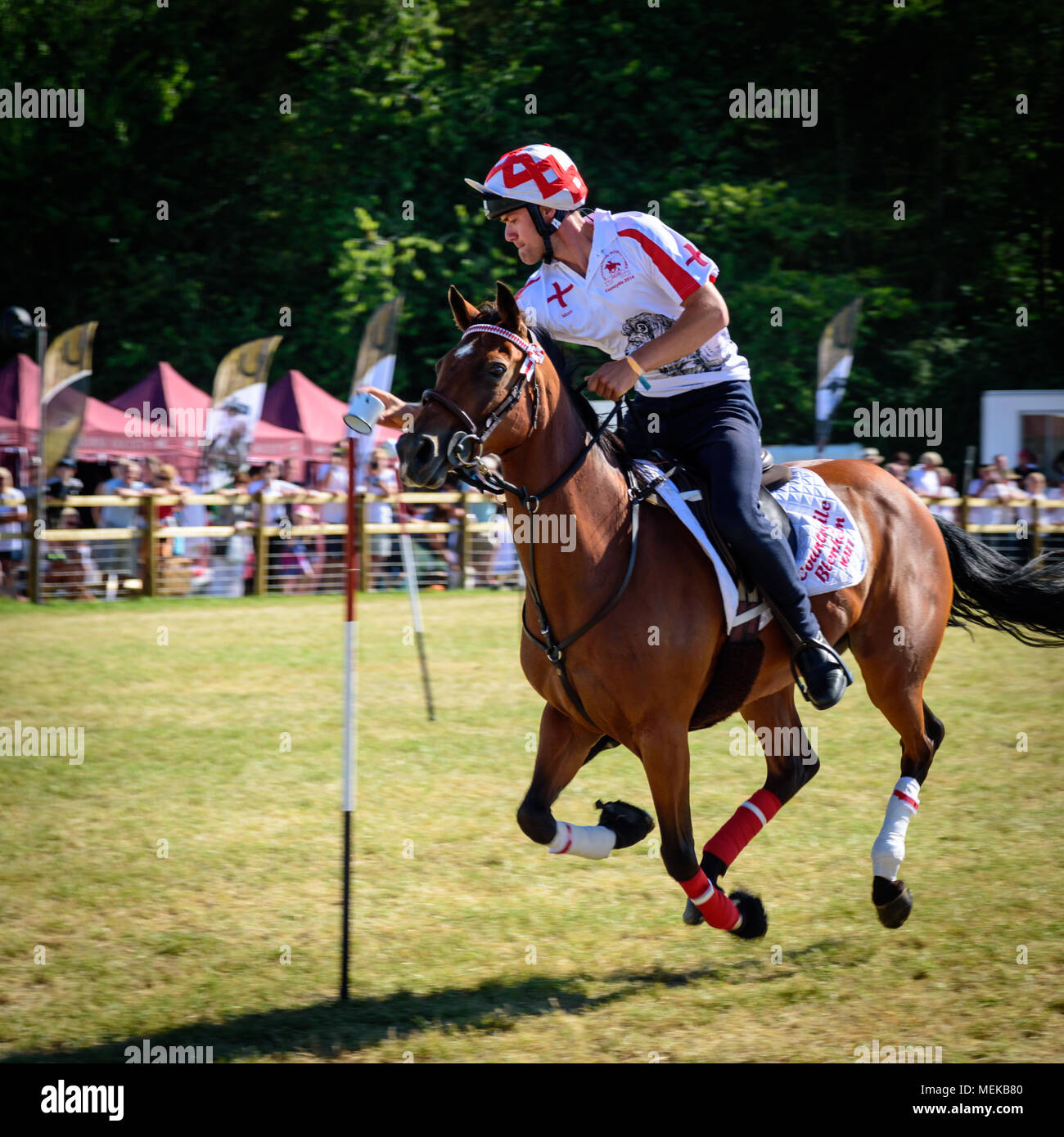 A rider competing in the Mounted Games places a tin cup on a pole while at full gallop Stock Photo