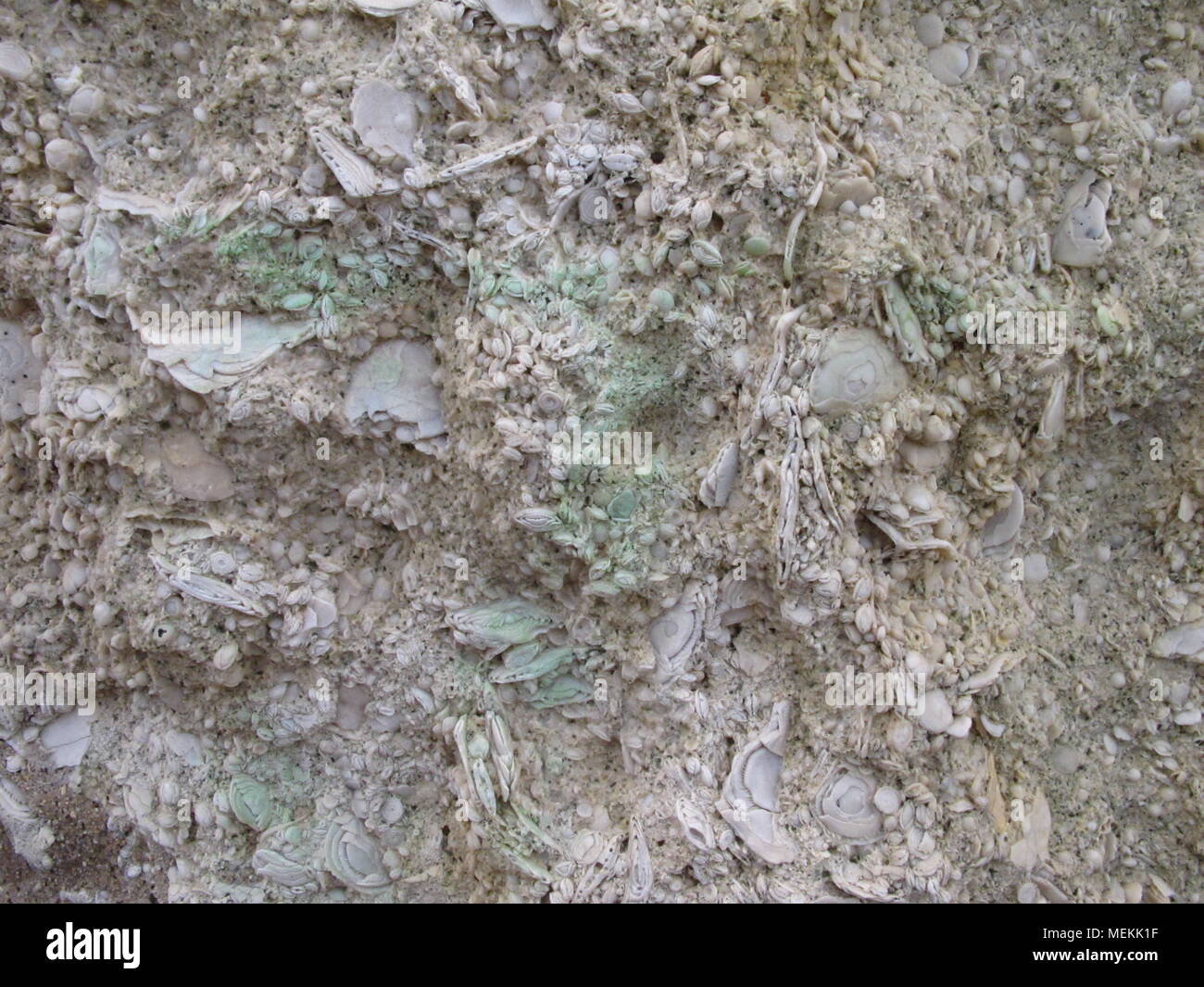 Stone texture background Stock Photo