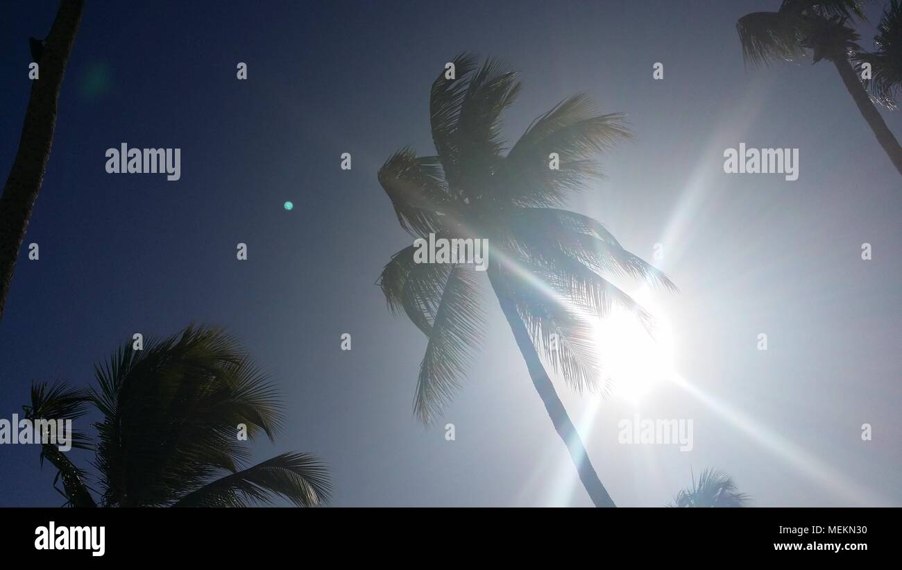Blissful summer days hi-res stock photography and images - Alamy