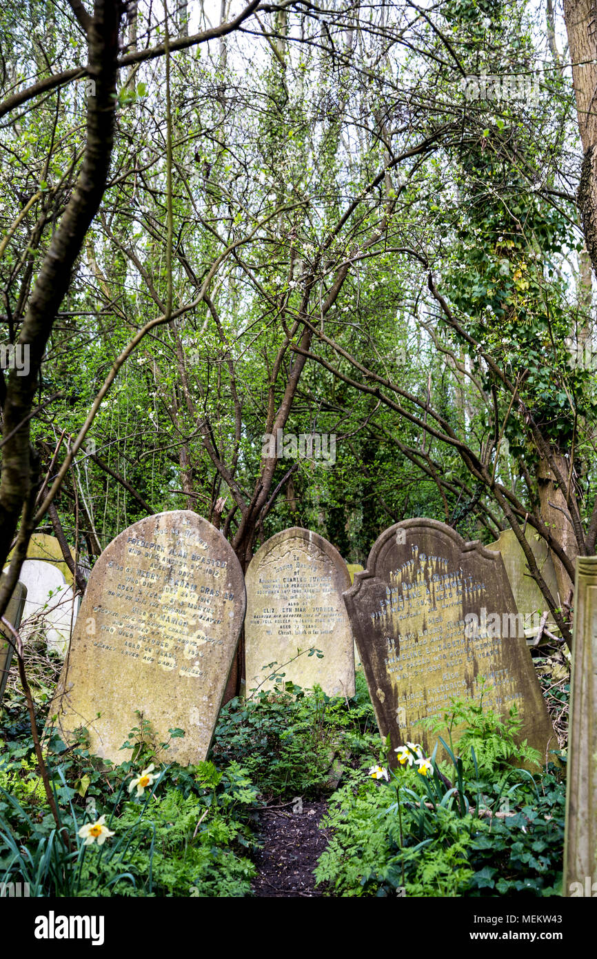 Three tilted gravestones in the woods, Abney Park cemetery, one of the Magnificent Seven cemeteries in London, UK Stock Photo