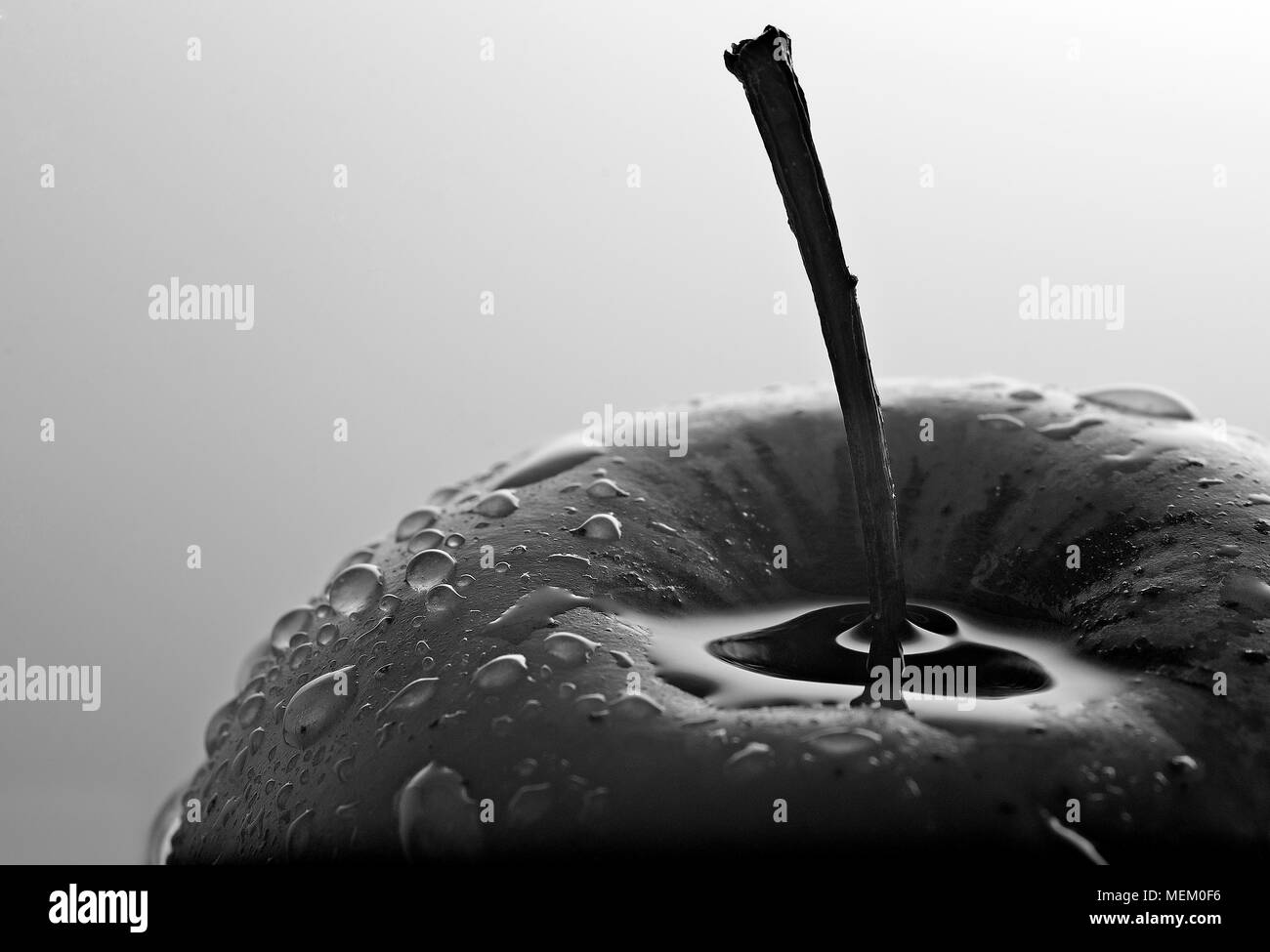 beautiful tableau black and white apple fruit fine art shadows highlights conceptual with water droplets on the surface Stock Photo