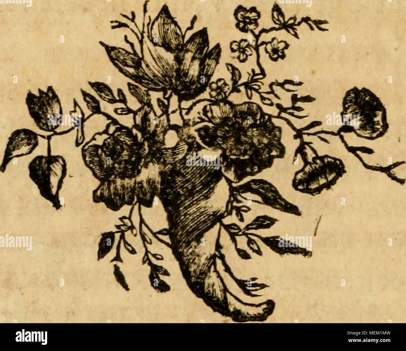 Dictionnaire Raisonné Universel Dhistoire Naturelle - 