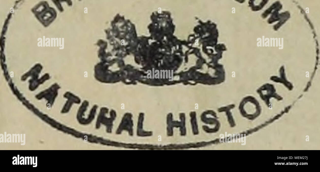 . Dictionnaire pittoresque d'histoire naturelle et des phénomènes de la nature . Stock Photo