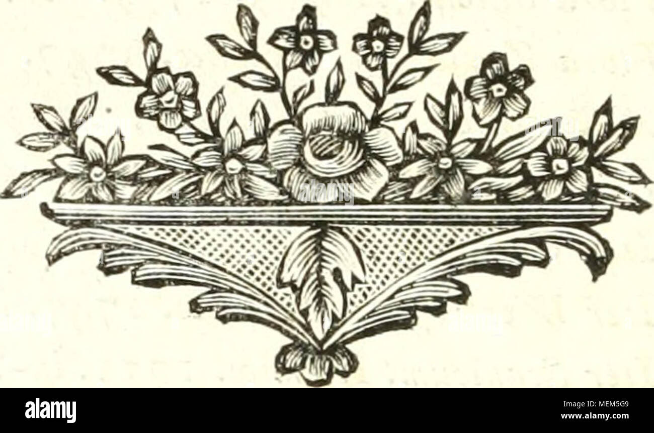 Page 8 - De Faire Faire High Resolution Stock Photography and ...