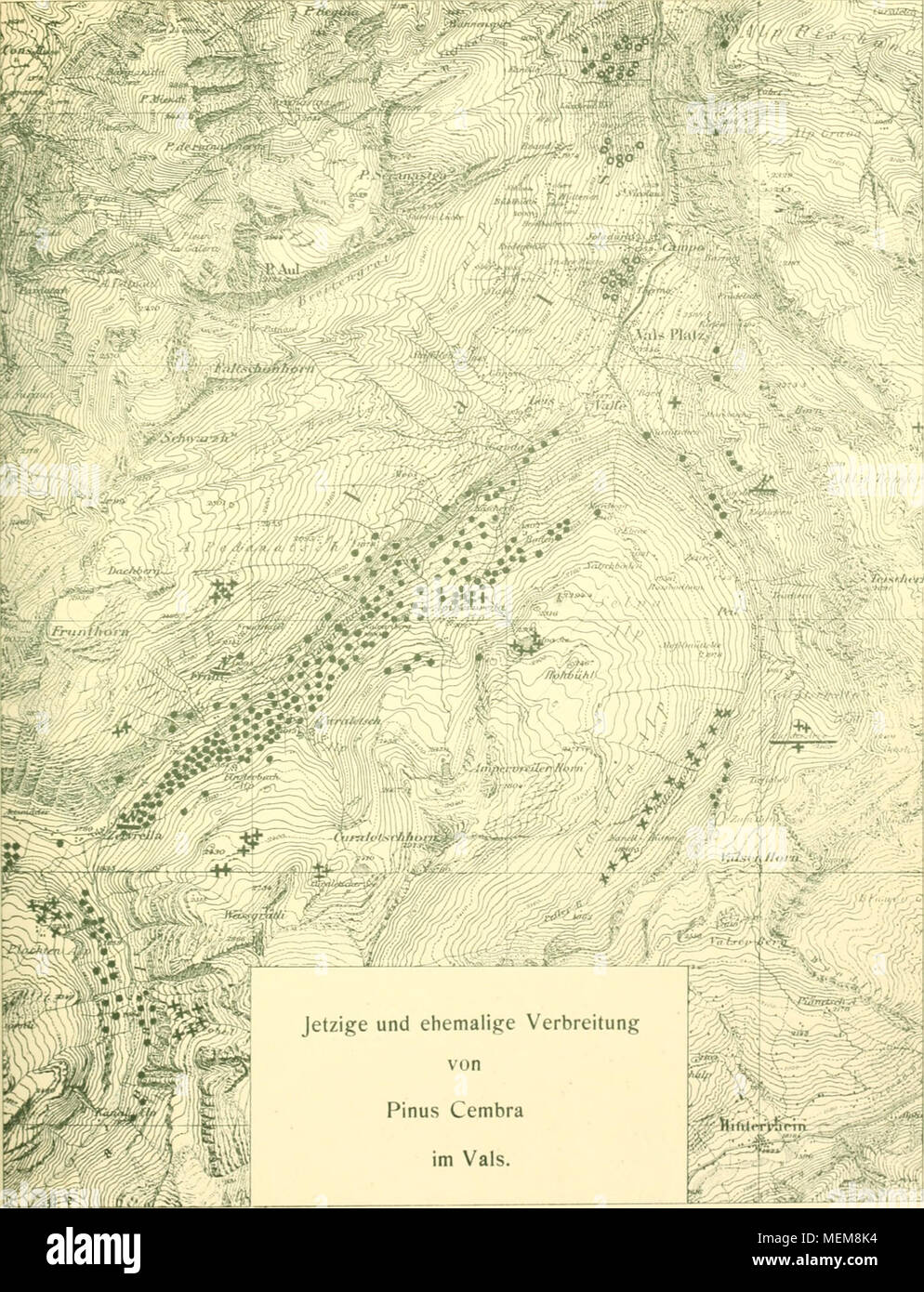 free Самооборона и нападение без оружия 2005