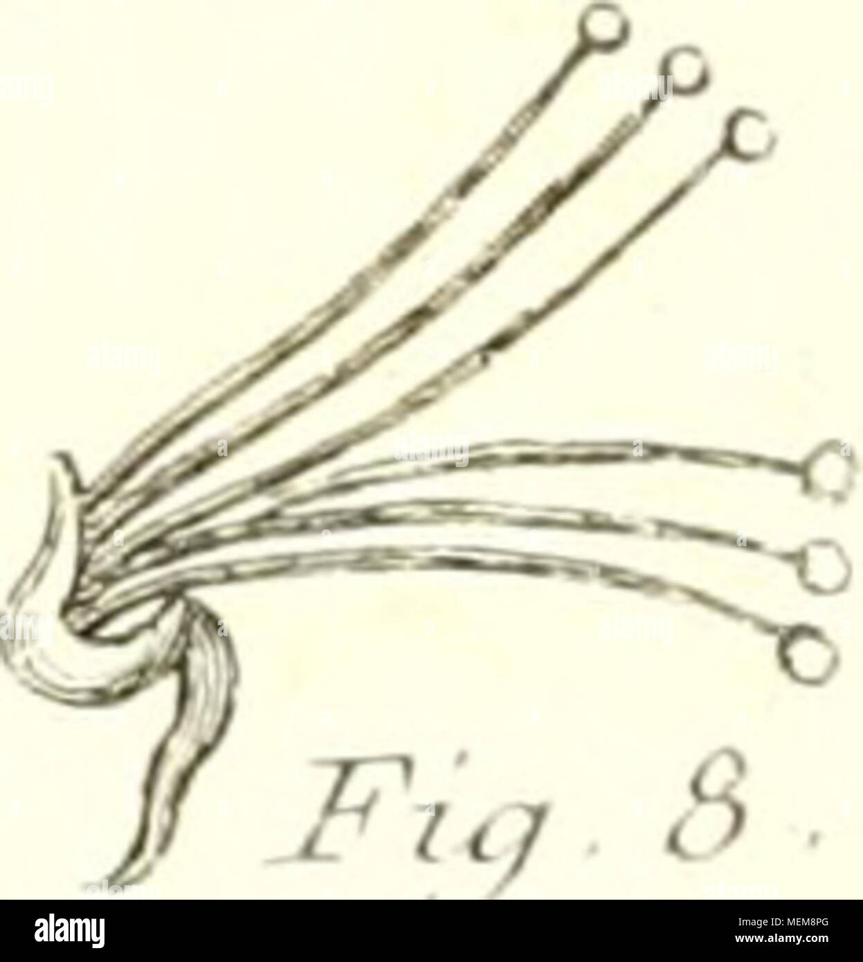 Xa Y High Resolution Stock Photography And Images Alamy