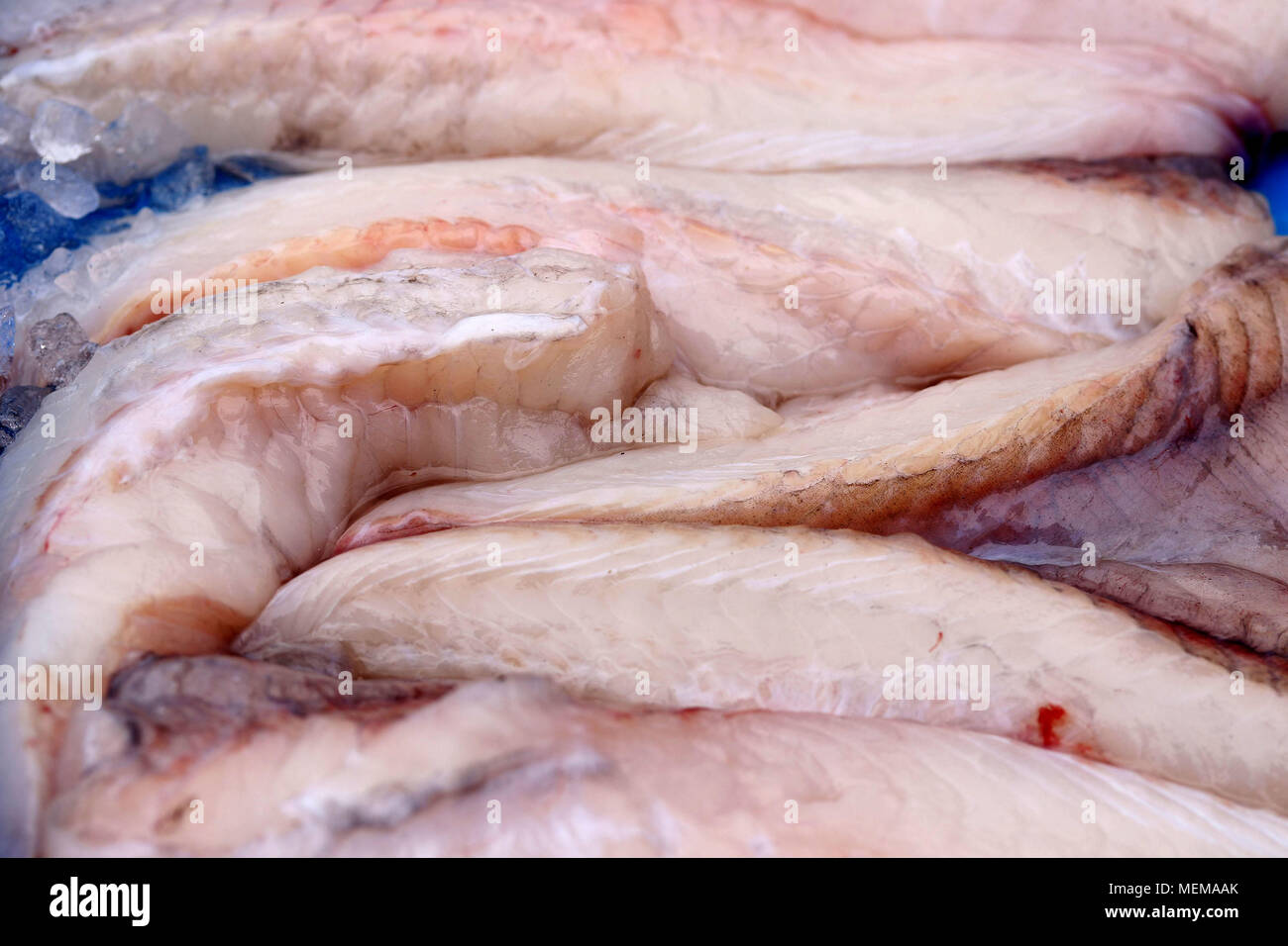 A pile of monkfish at fish market Stock Photo