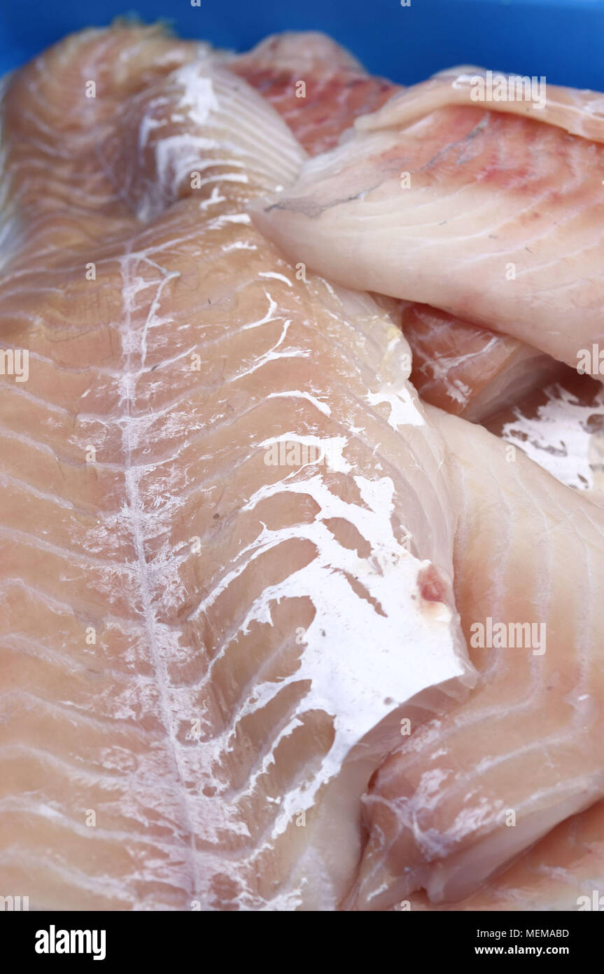 A pile of cod fish at the fish market Stock Photo