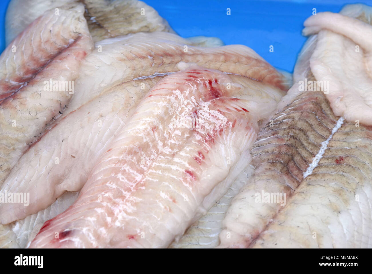 A pile of monkfish at fish market Stock Photo