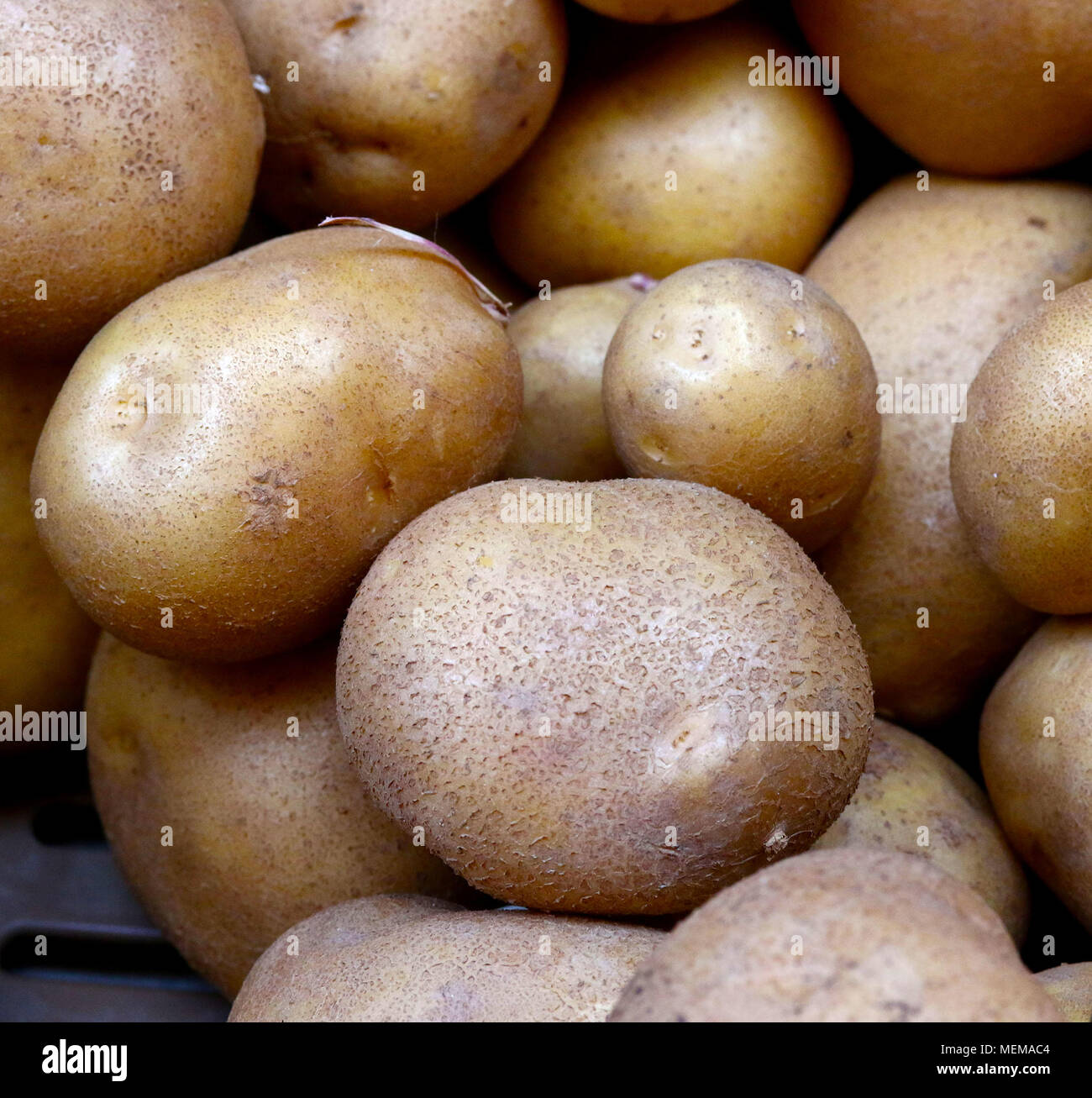 Yukon Gold potatoes Stock Photo Alamy